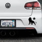 Star Lion Bumper Car Sticker