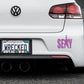 Sexy Nurse Bumper Car Sticker