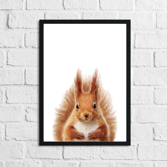 Red Squirrel Animal Woodlands Children's Nursery Room Wall Decor Print