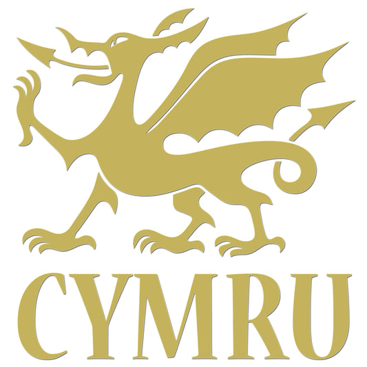Cymru Dragon Iron On HTV Transfer
