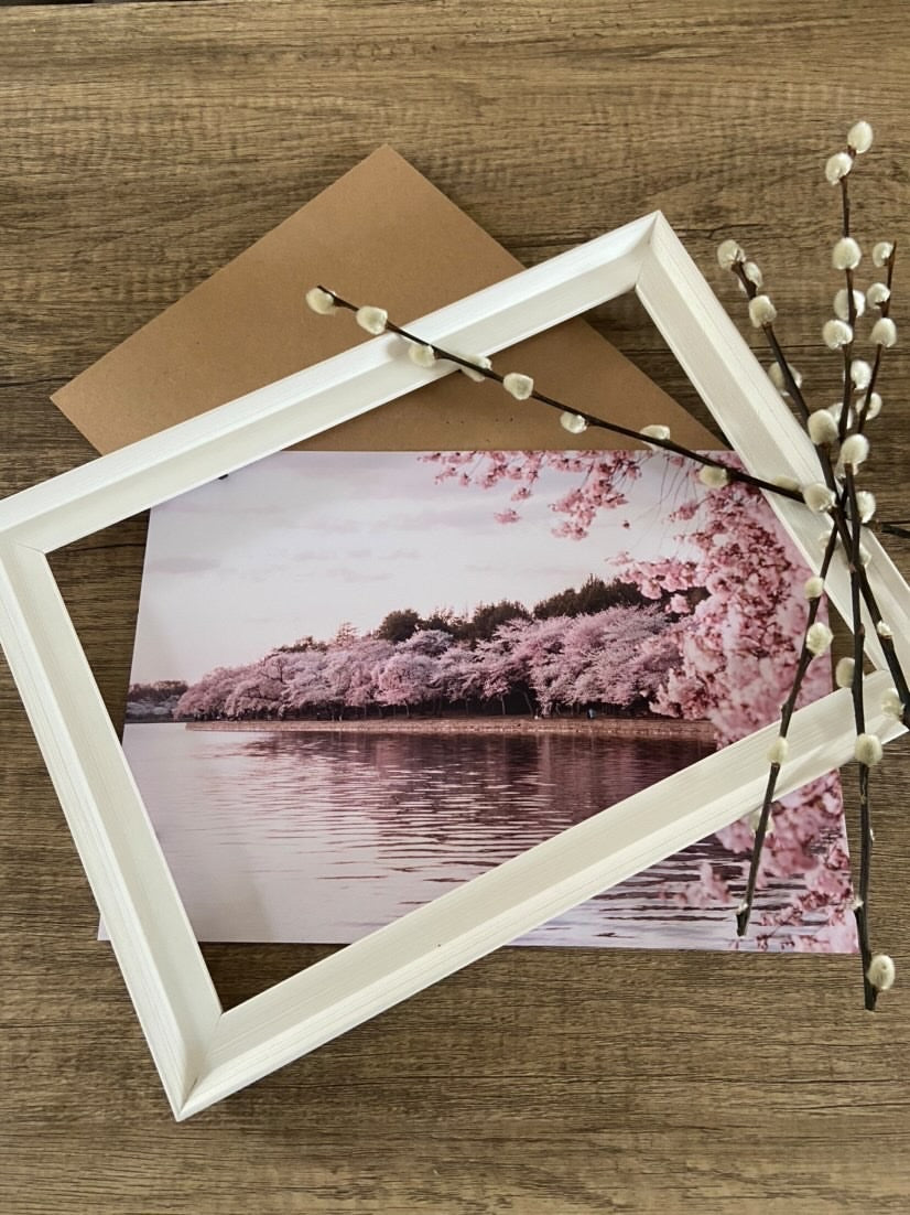 Cherry Spring Blossom Lake Photography Spring Seasonal Wall Home Decor Print