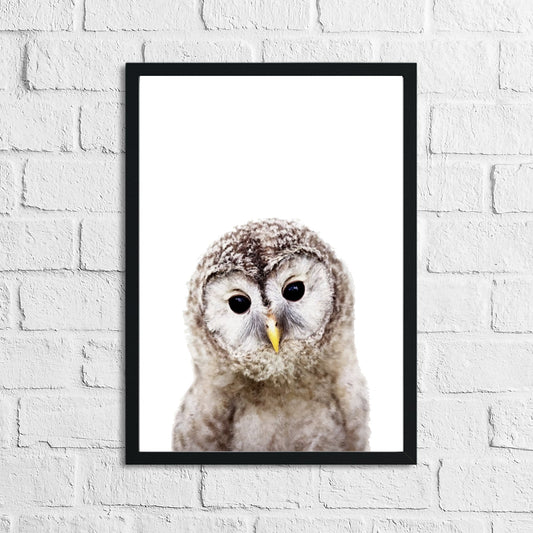 Owl Animal Woodlands Nursery Children's Room Wall Decor Print