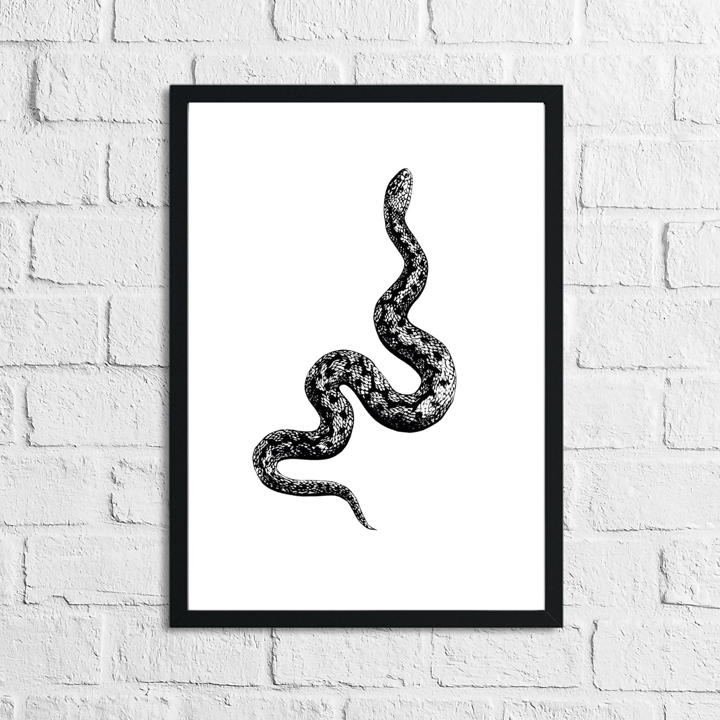 Serpent Snake Simple Home Wall Decor Print